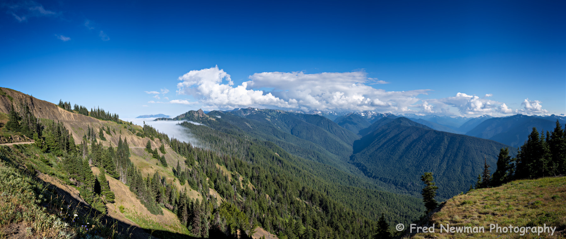 Leica S (TYP 006) + Summarit-S 35 sample photo. Washington panorama photography
