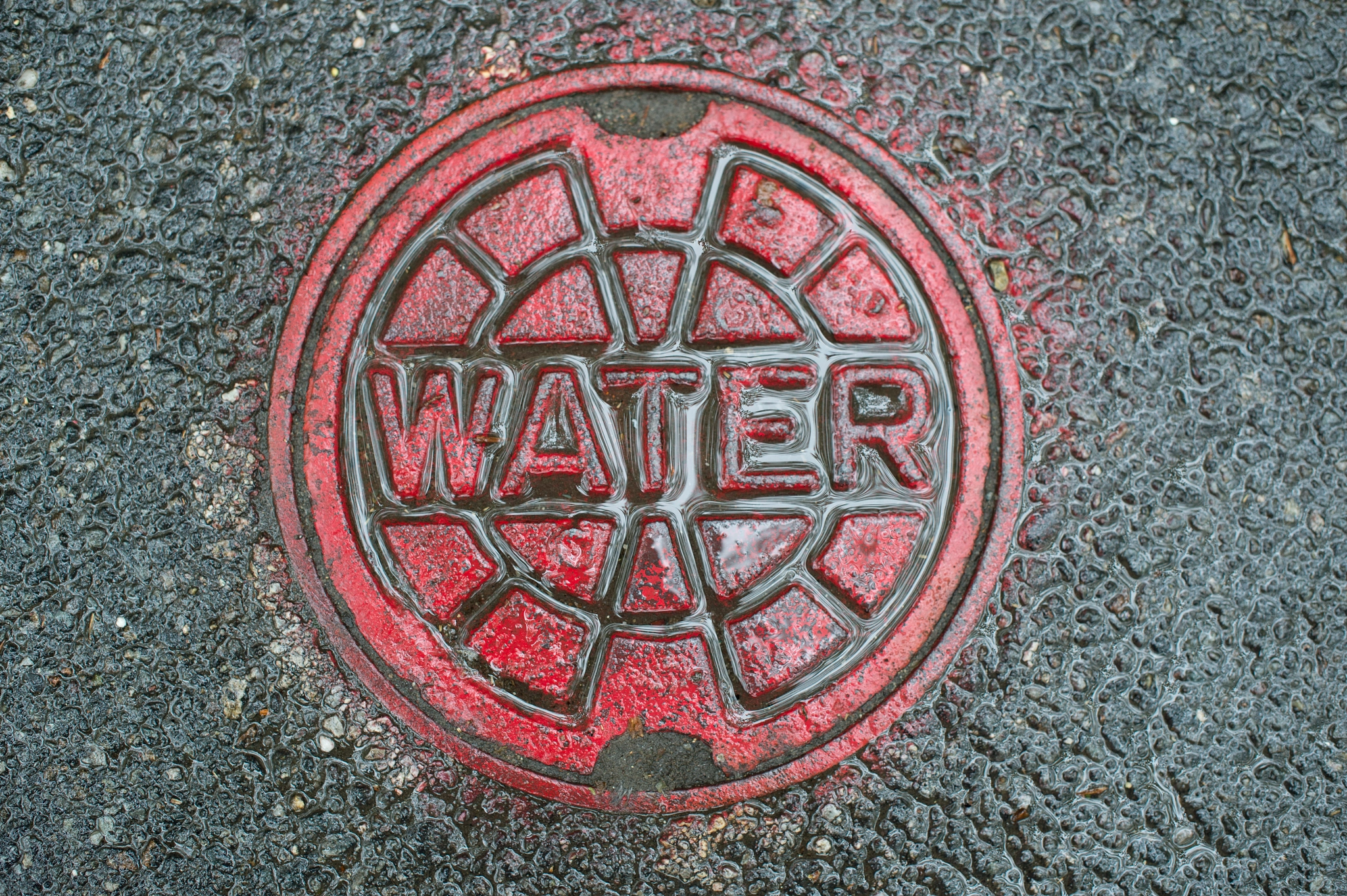 Nikon Df + Nikon AF-S Nikkor 50mm F1.4G sample photo. Water main manhole cover photography