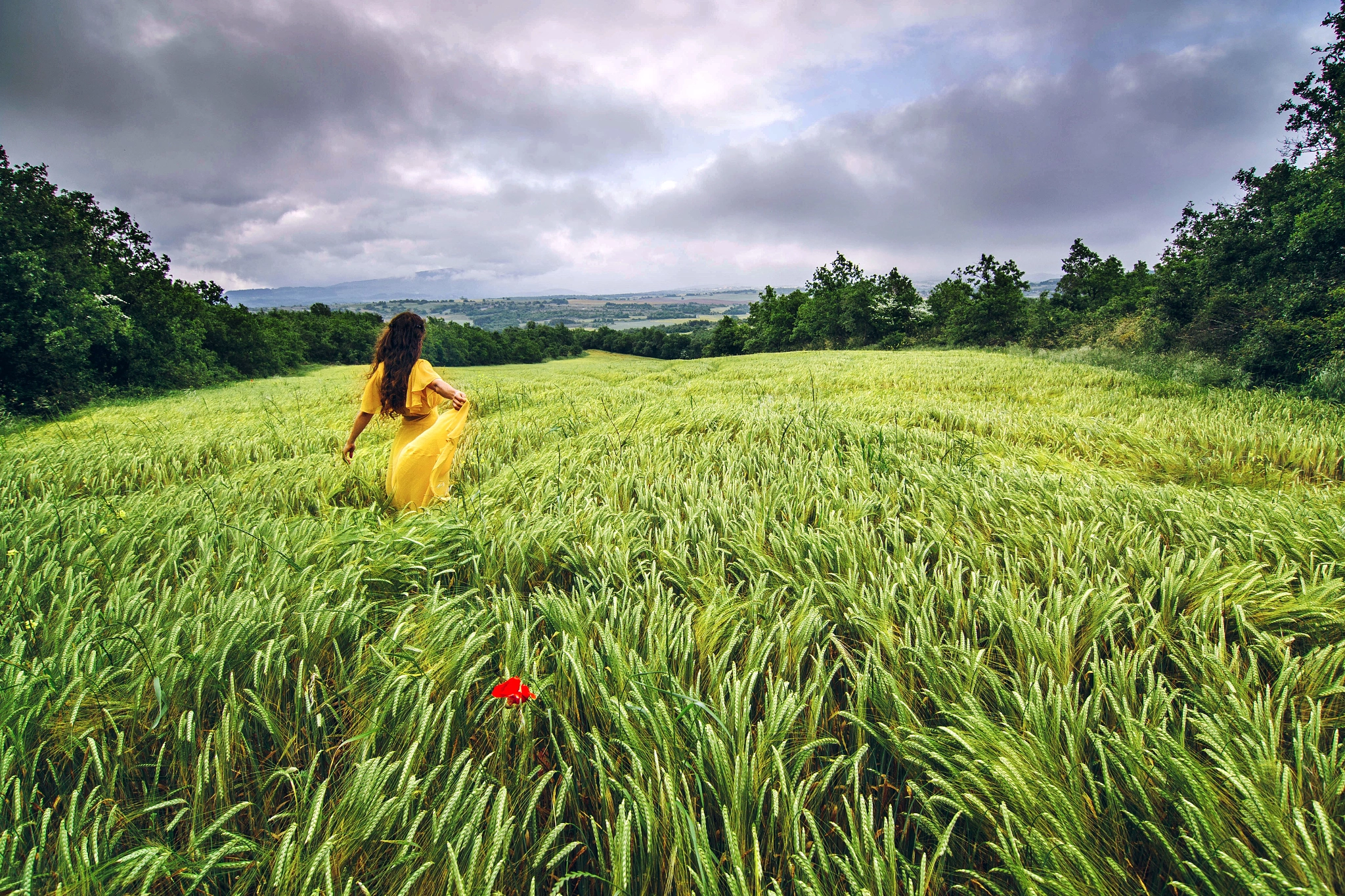 Tokina AT-X Pro 12-24mm F4 (IF) DX sample photo. Amarillo sobre verde photography