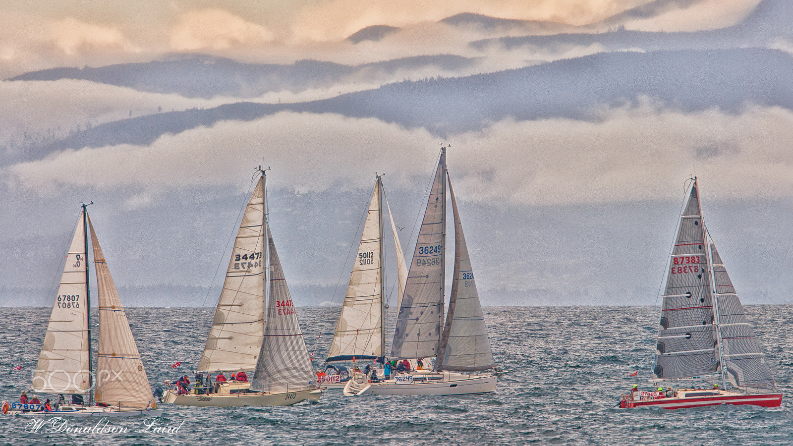 Canon EF 500mm F4L IS USM sample photo. And they're off! photography