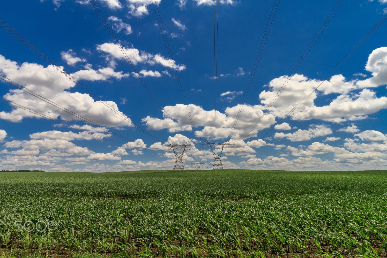 Canon EF-S 10-18mm F4.5–5.6 IS STM sample photo. Famland photography