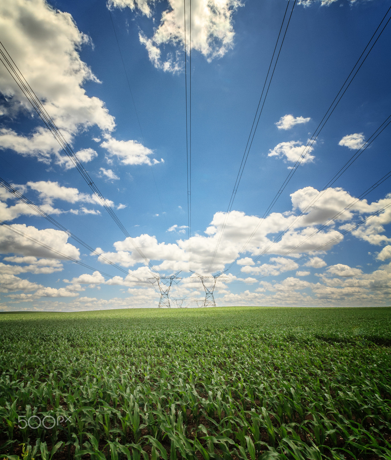 Canon EF-S 10-18mm F4.5–5.6 IS STM sample photo. Farmland photography