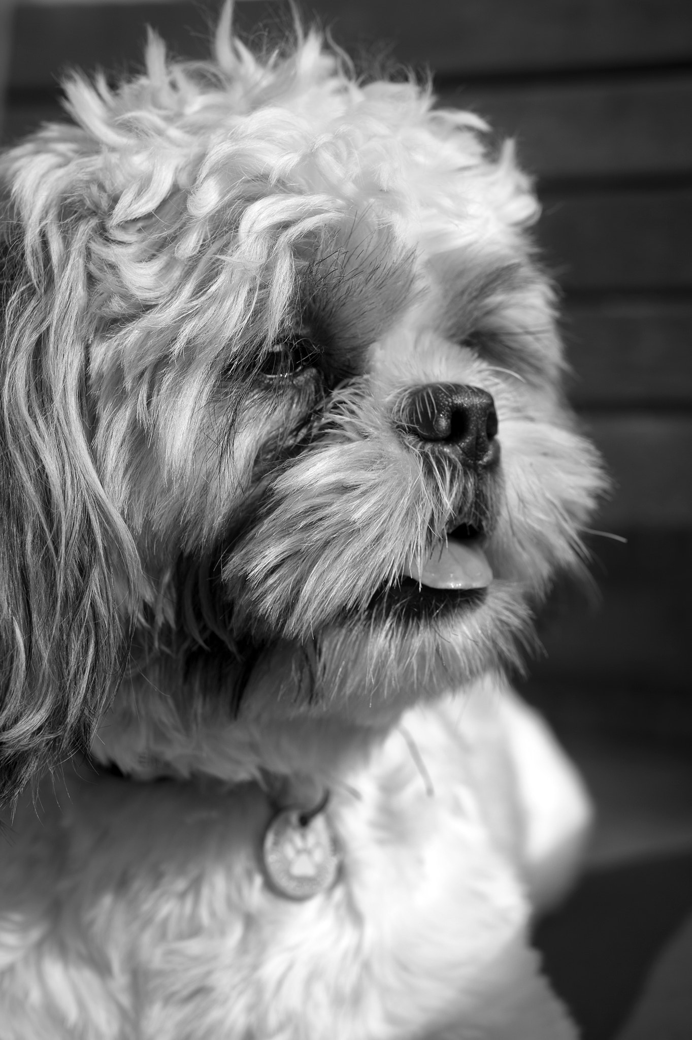 Nikon AF-S Micro-Nikkor 60mm F2.8G ED sample photo. Happy 1st birthday photography