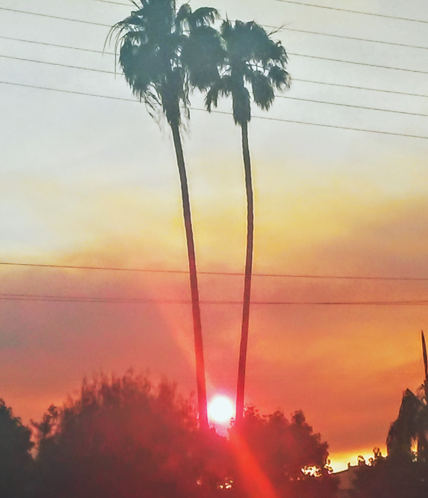 LG M1 sample photo. Sunset. noho photography