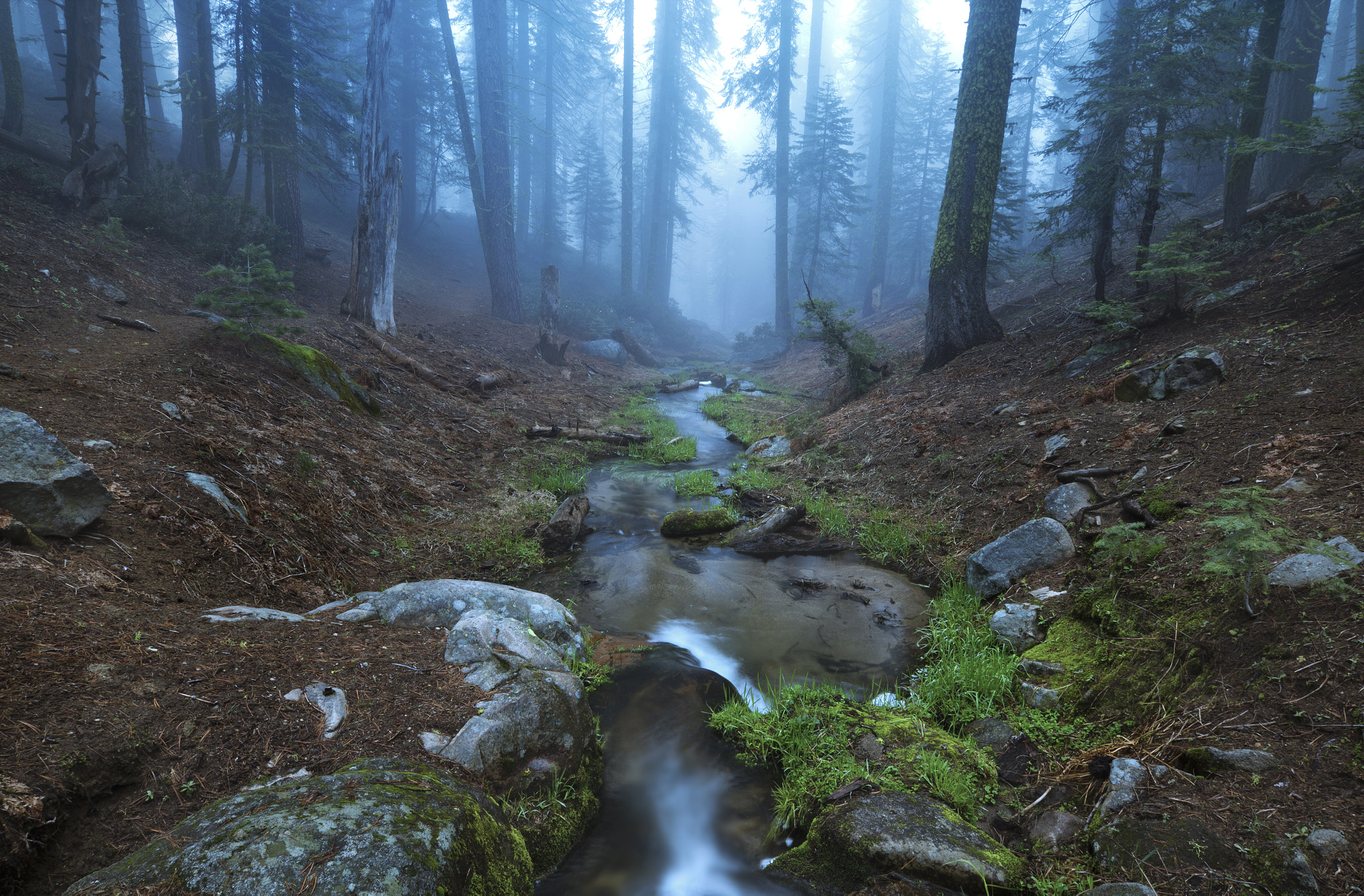Sigma 10-20mm F3.5 EX DC HSM sample photo. Downstream photography