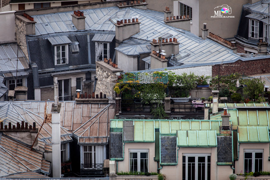 Tamron SP 35mm F1.8 Di VC USD sample photo. Sur les toits de paris photography
