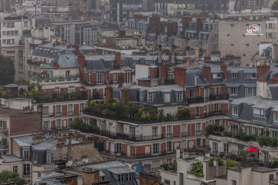 Tamron SP 35mm F1.8 Di VC USD sample photo. Sur les toits de paris photography