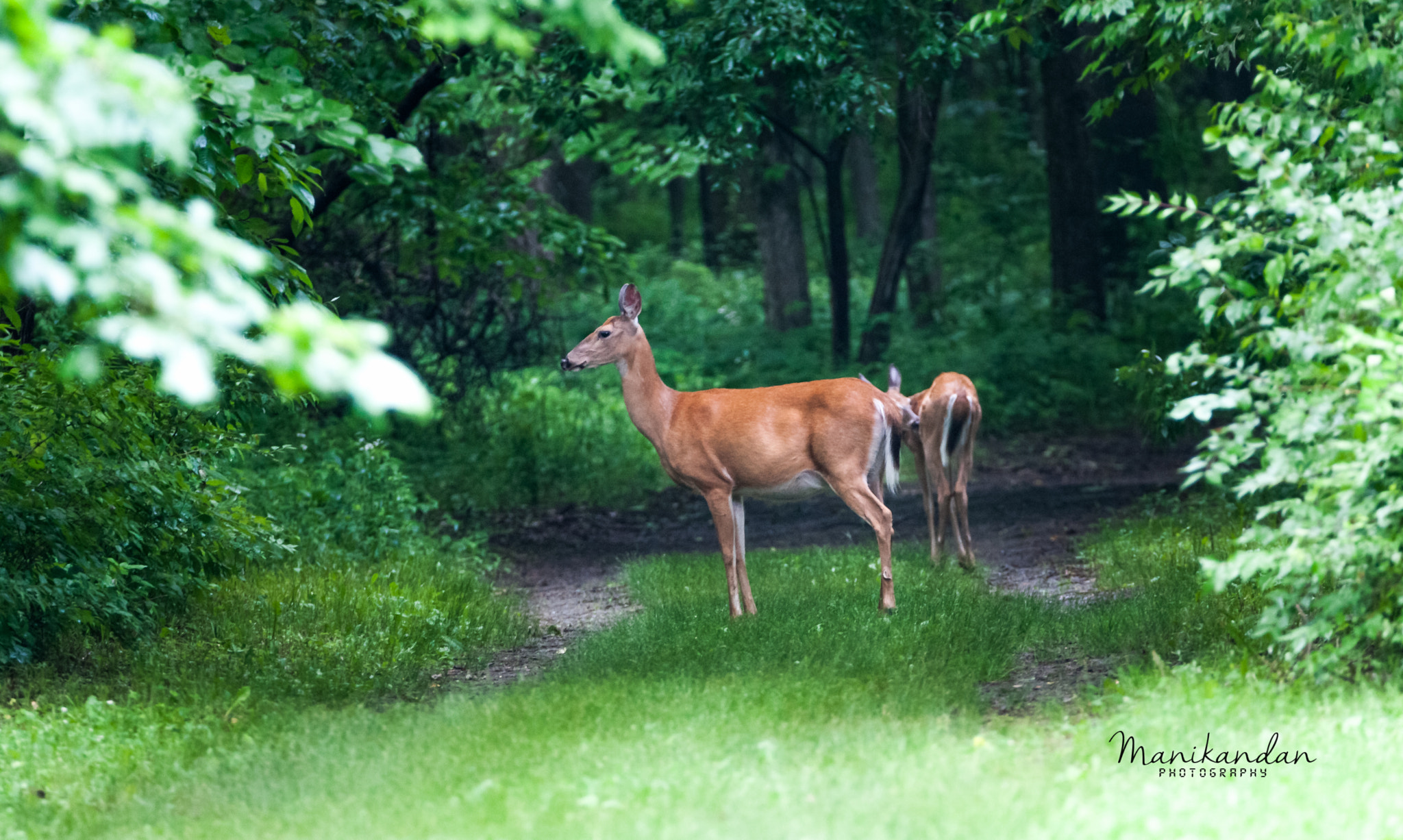 Canon EOS-1D Mark III sample photo. Morning sight... photography