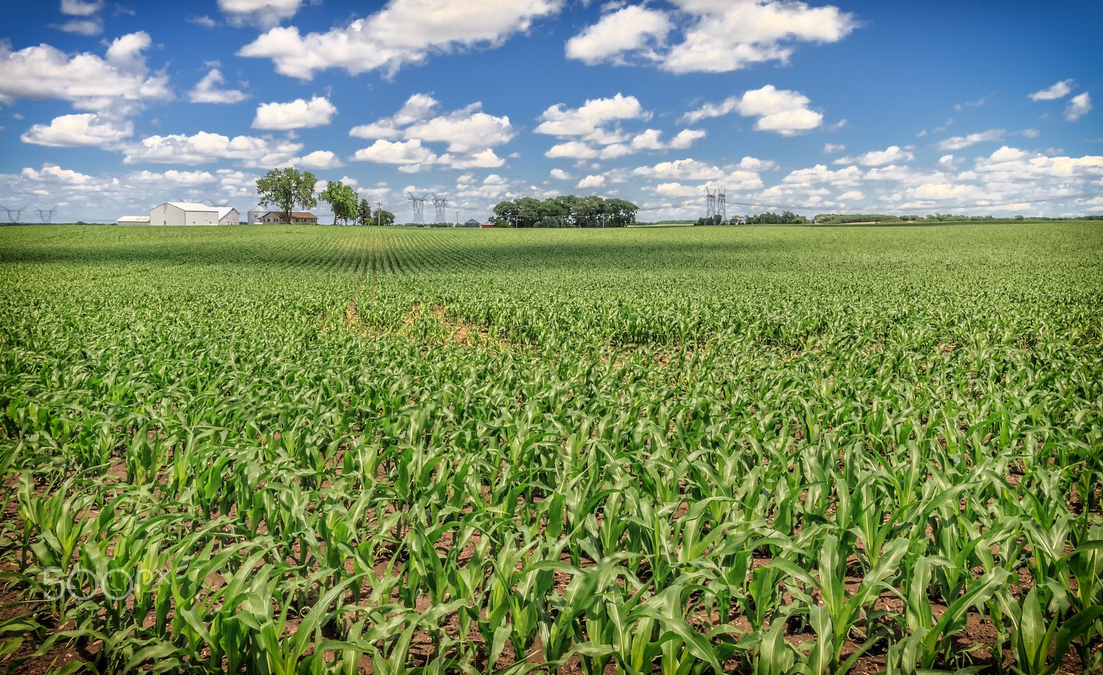 Canon EF-S 10-18mm F4.5–5.6 IS STM sample photo. Farmland photography
