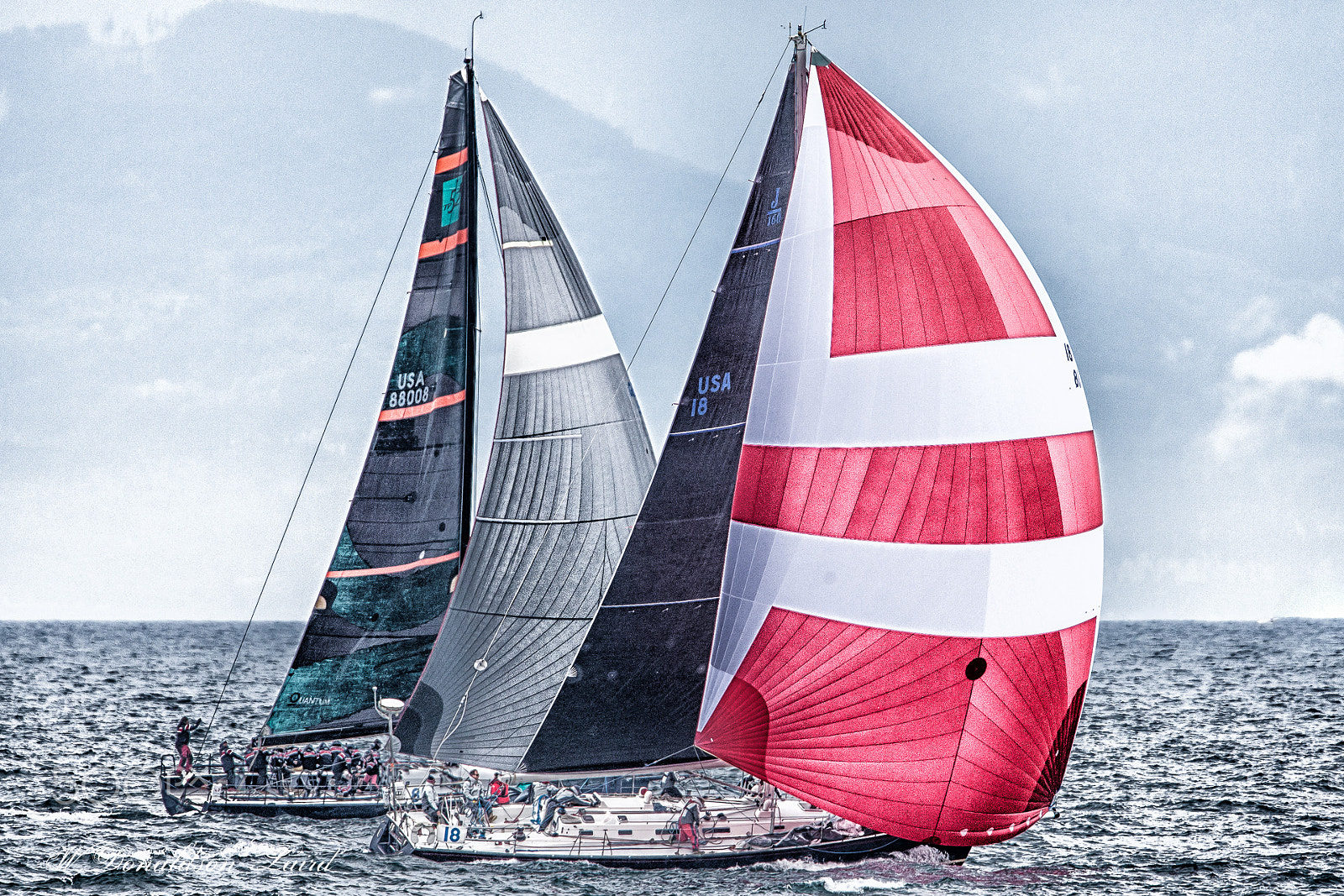 Canon EOS-1D Mark III + Canon EF 500mm F4L IS USM sample photo. The red spinnaker photography