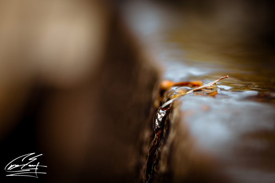 Canon EOS 650D (EOS Rebel T4i / EOS Kiss X6i) sample photo. Edge to fall photography