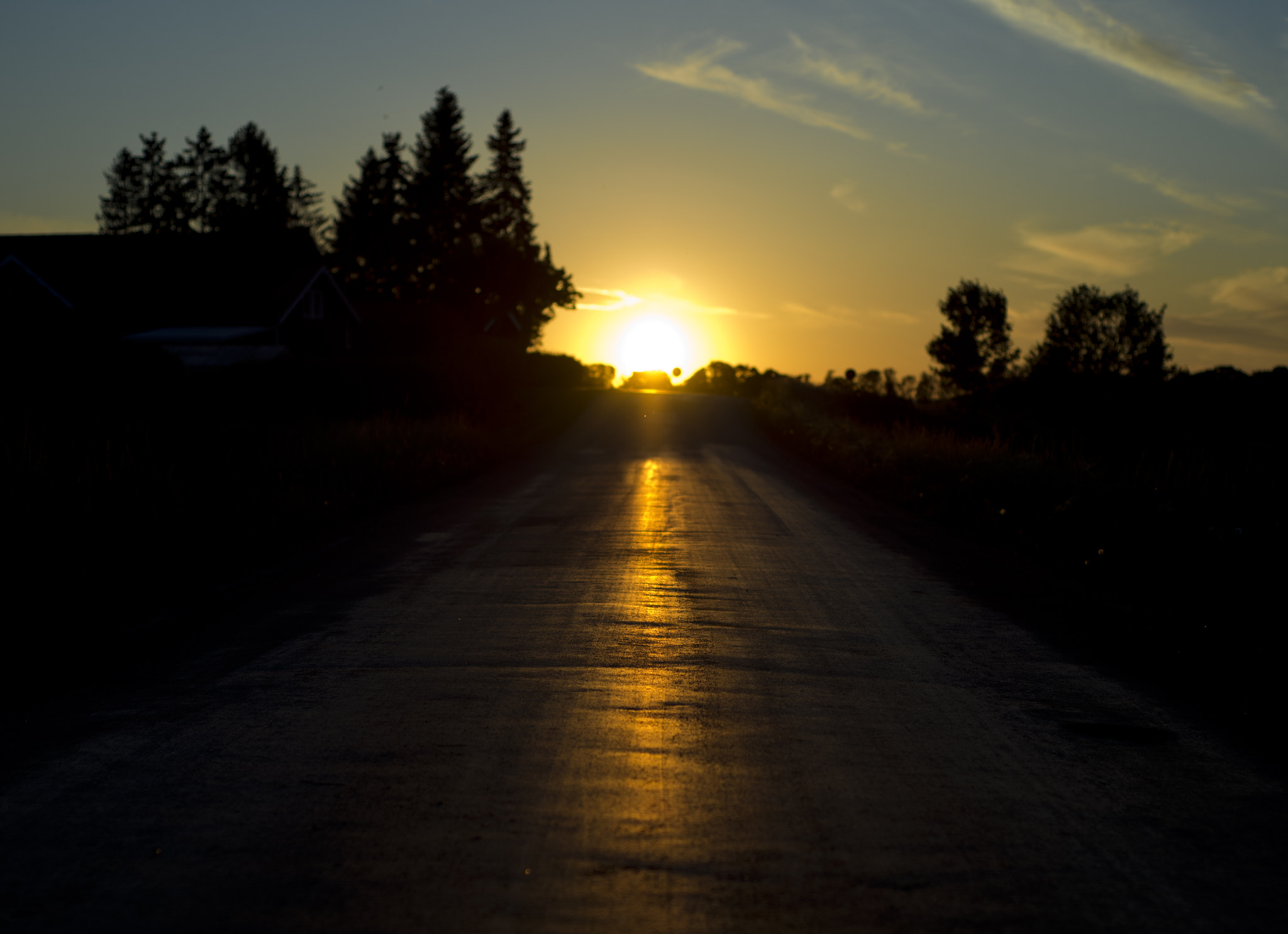 Nikon D600 sample photo. Golden path to the sun photography