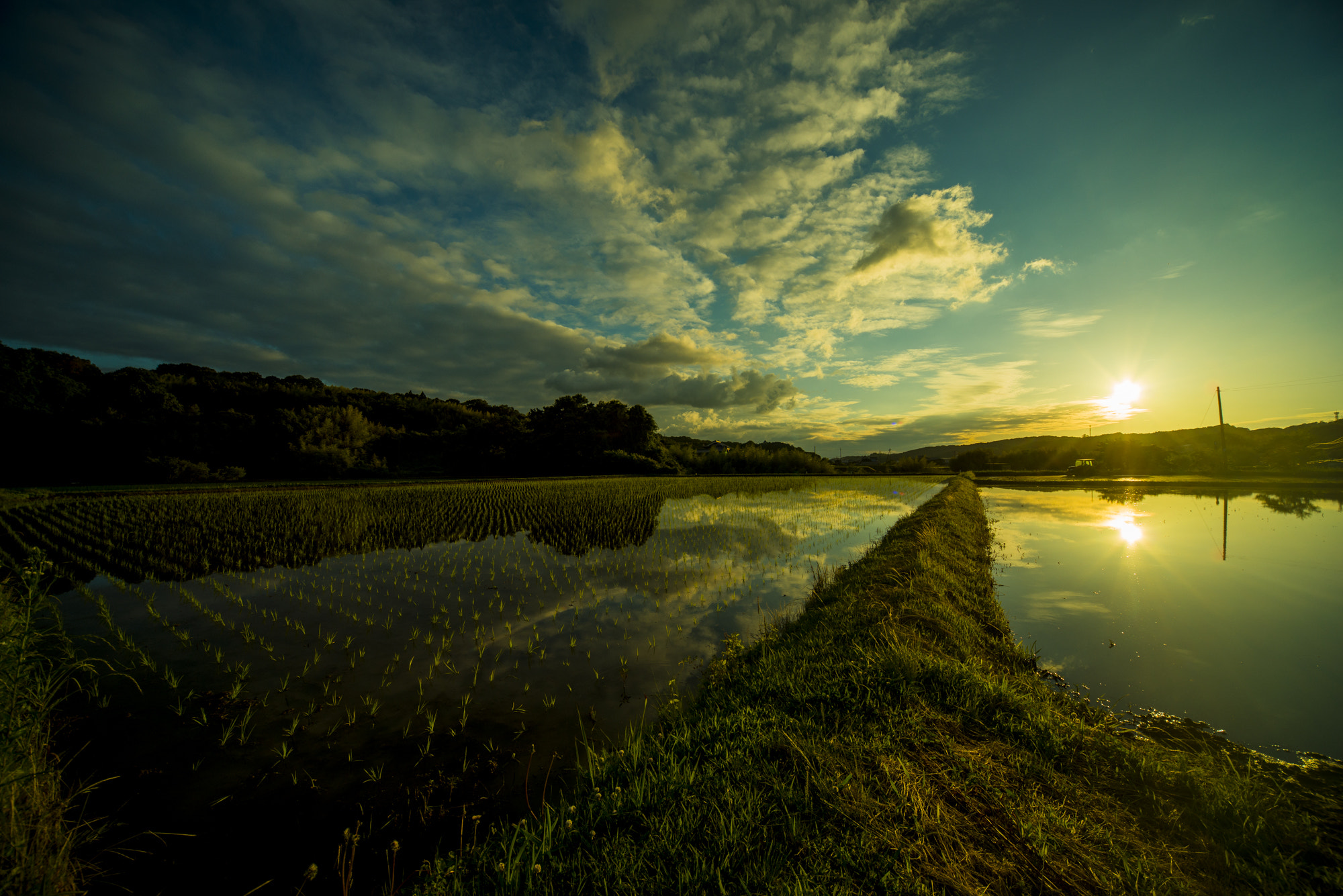 Sigma 12-24mm F4.5-5.6 EX DG Aspherical HSM sample photo. Rice field photography