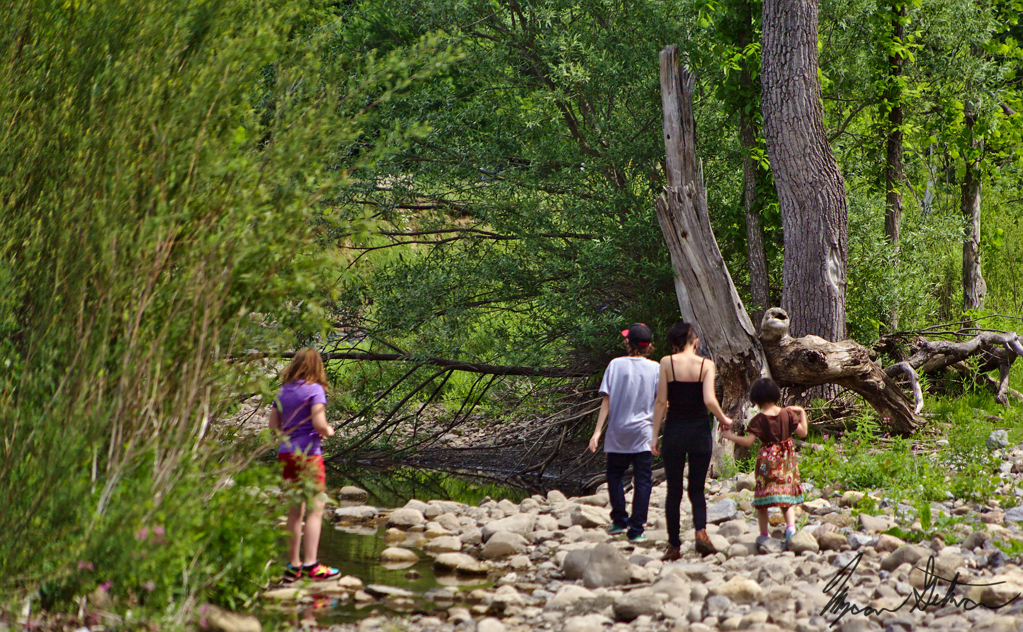 Canon EOS 5D + EF75-300mm f/4-5.6 sample photo. Walking the creek photography