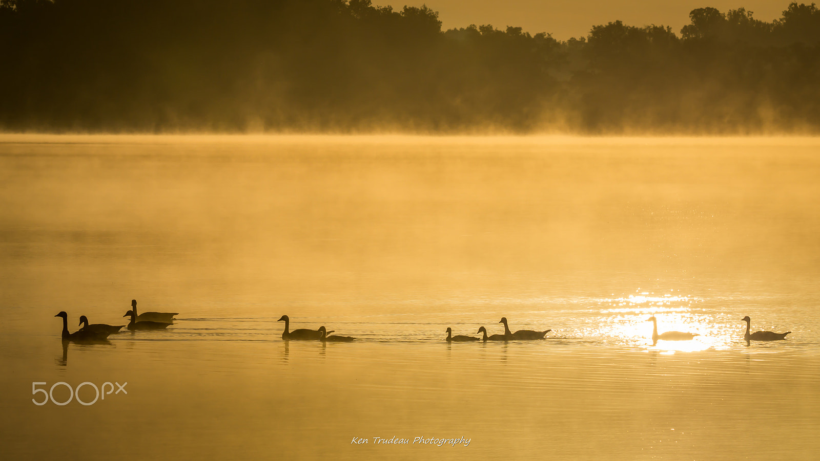 Sony a6000 + Tamron SP 150-600mm F5-6.3 Di VC USD sample photo. Morning lake crossing photography