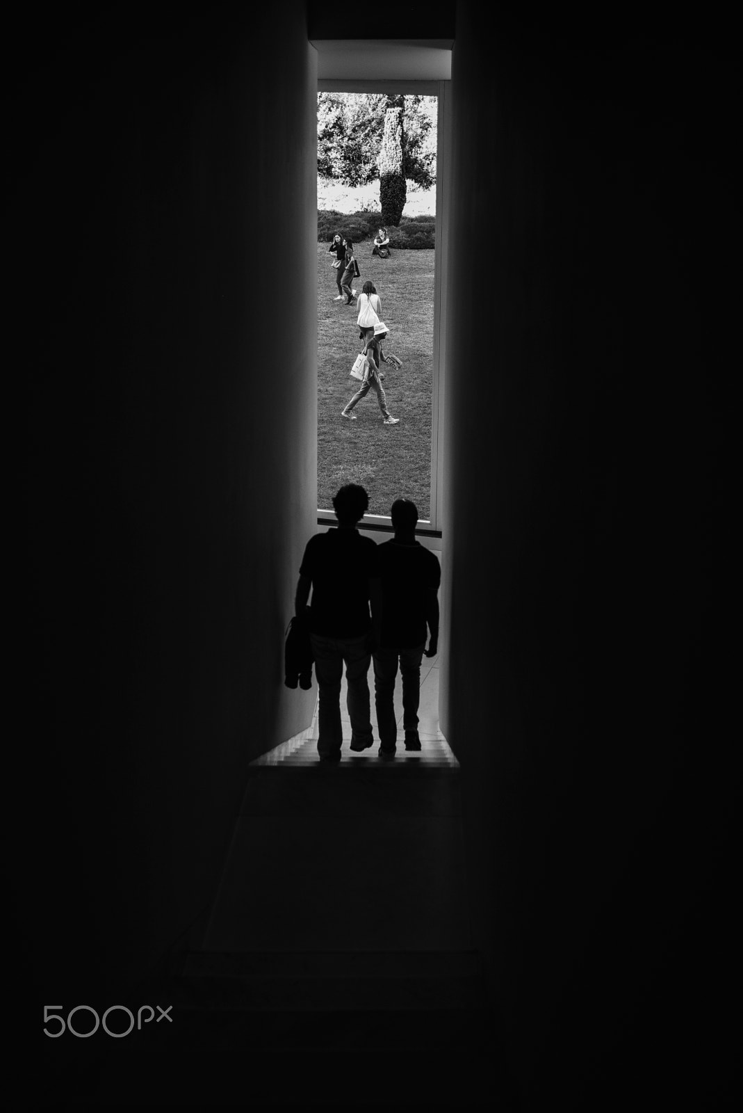 Summilux-M 1:1.4/28 ASPH. sample photo. Serralves... photography