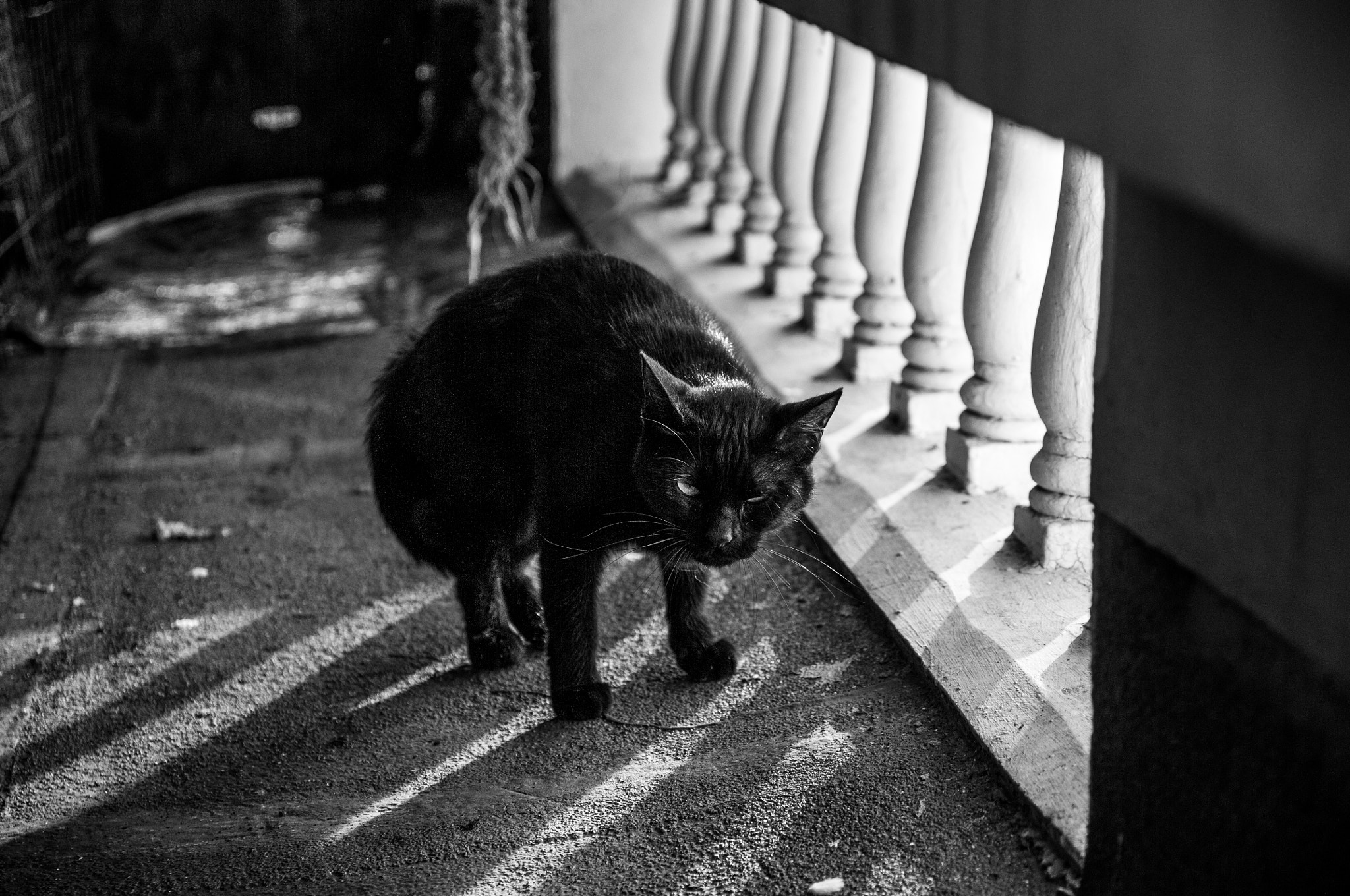 Sigma 17-70mm F2.8-4 DC Macro OS HSM | C sample photo. 20160605-dsc_2109.jpg photography