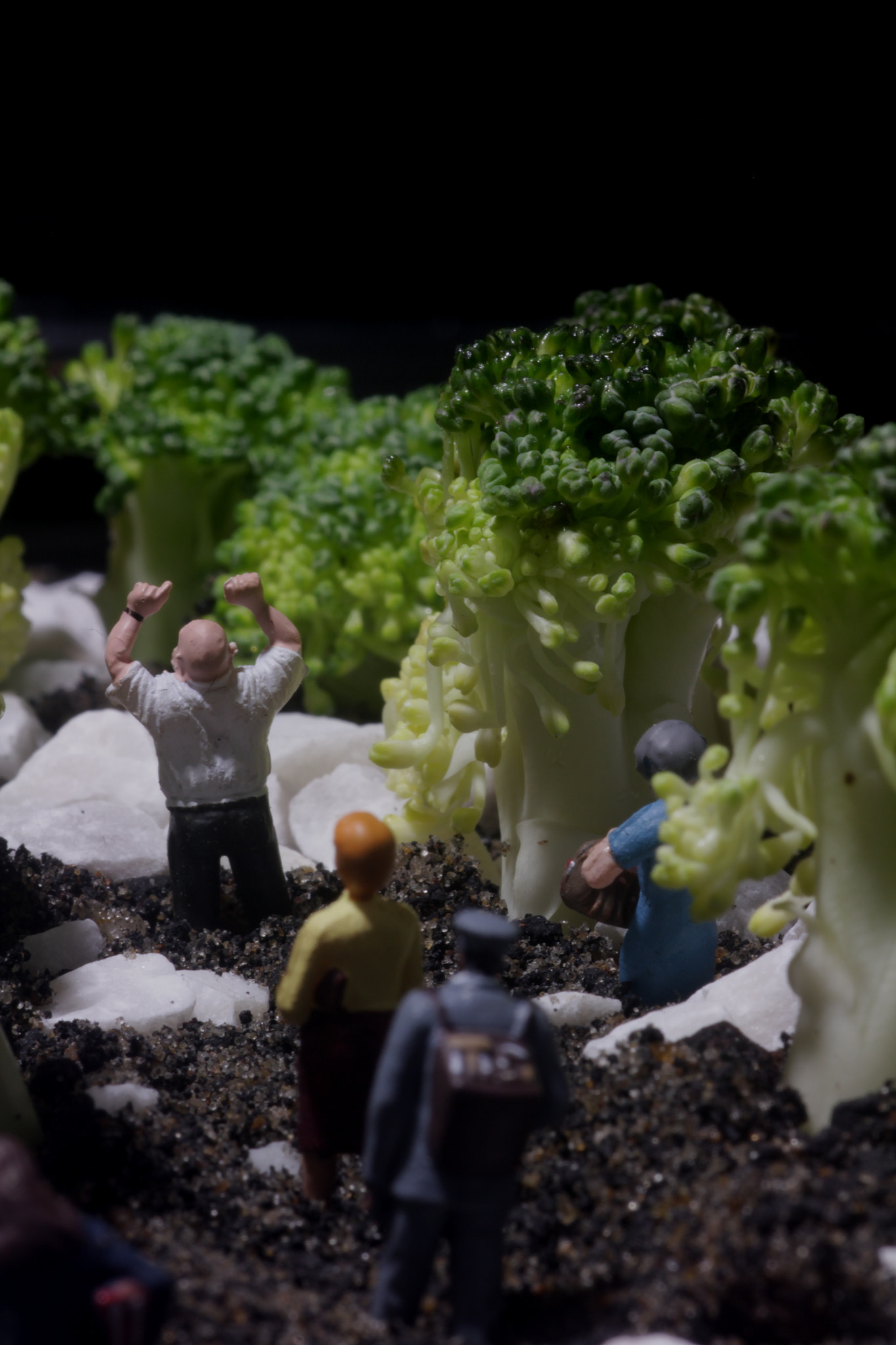 Canon EF 100mm F2.8 Macro USM sample photo. Mini humans in broccoli forest photography