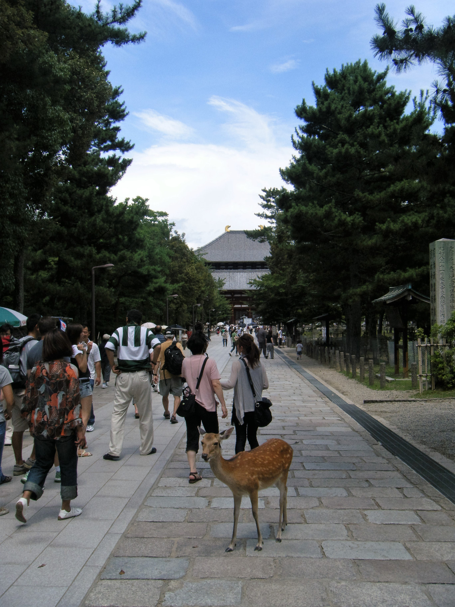 Fujifilm FinePix Z20fd sample photo. Todaiji photography