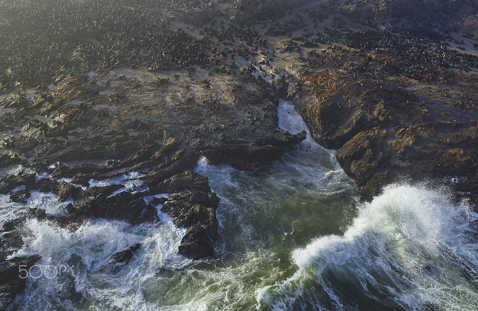 Schneider LS 40-80mm f/4.0-5.6 sample photo. African coast photography