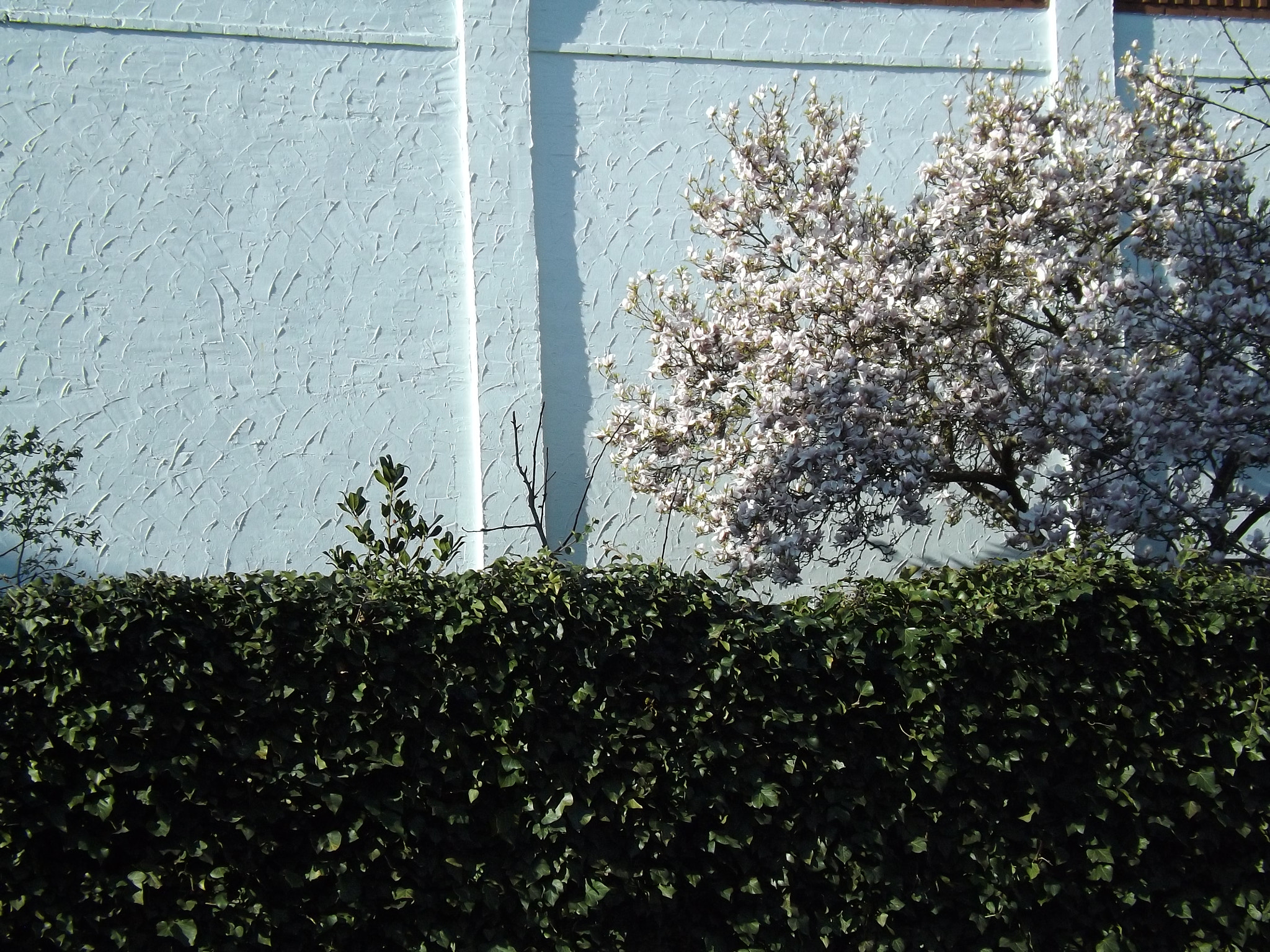 Fujifilm FinePix SL245 sample photo. The green line photography