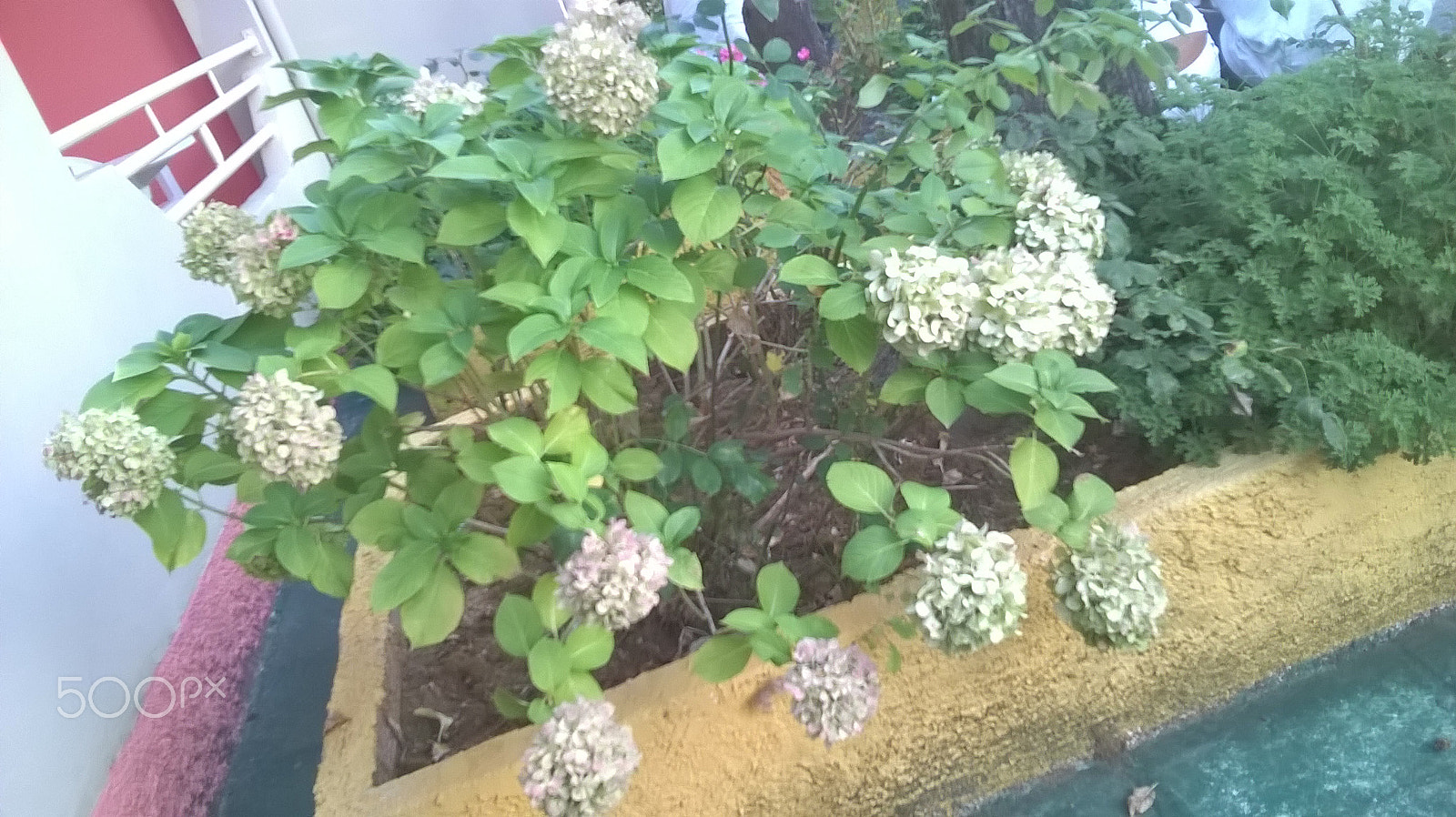 Nokia Lumia 630 sample photo. Everything photography