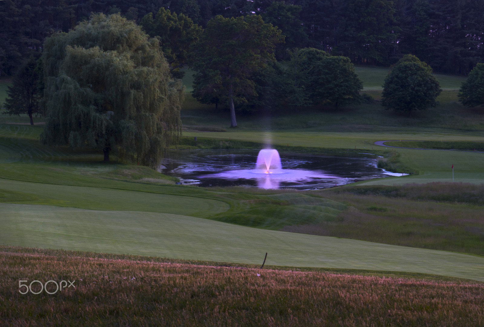 Canon EOS M sample photo. Lavender fountain photography