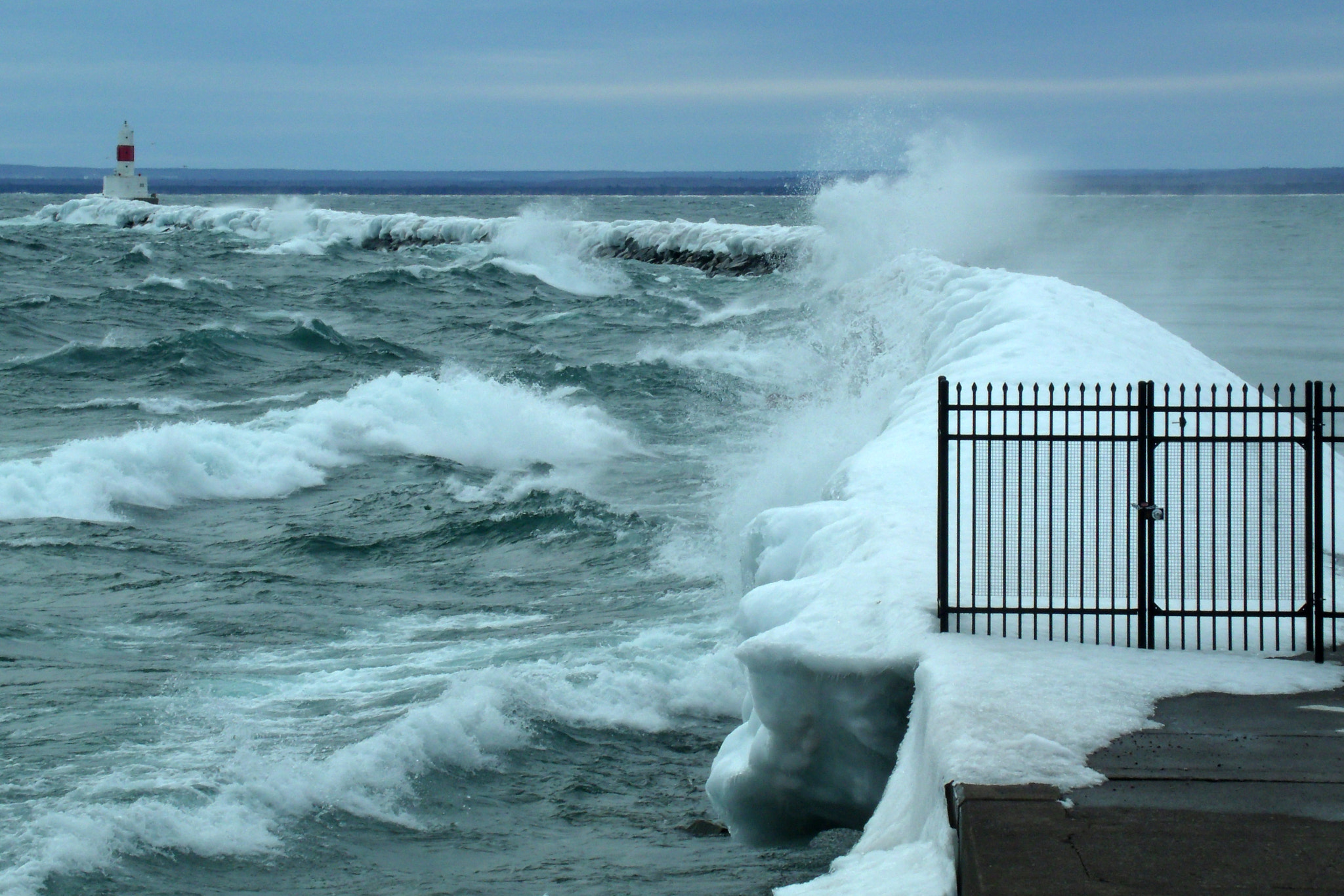 GENERAL IMAGING CO. X400 sample photo. Icy furry photography