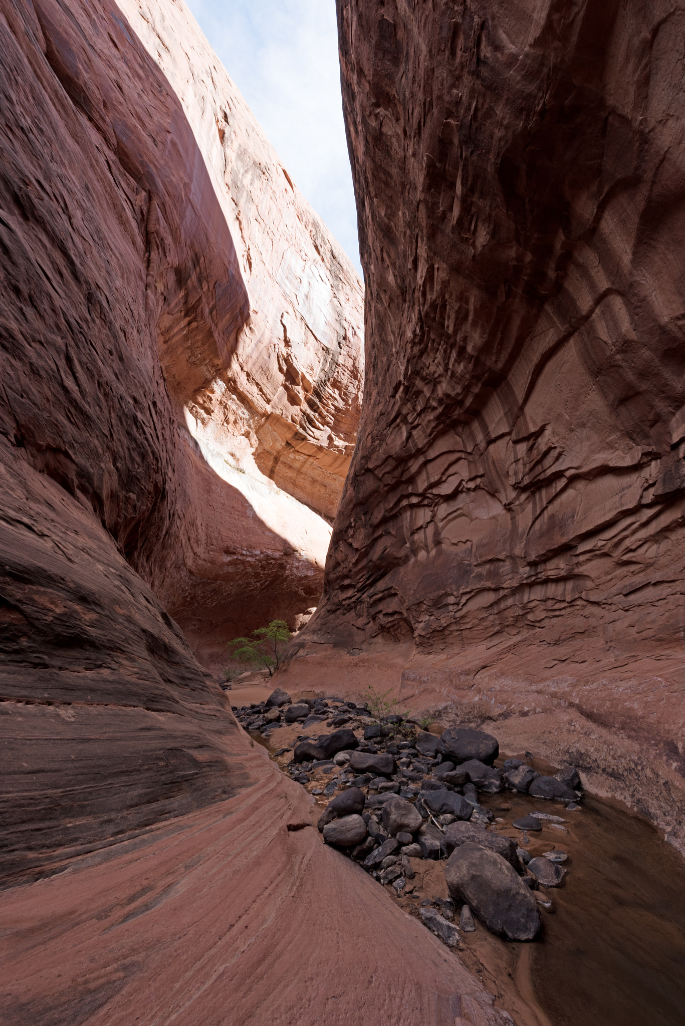 Anasazi Canyon