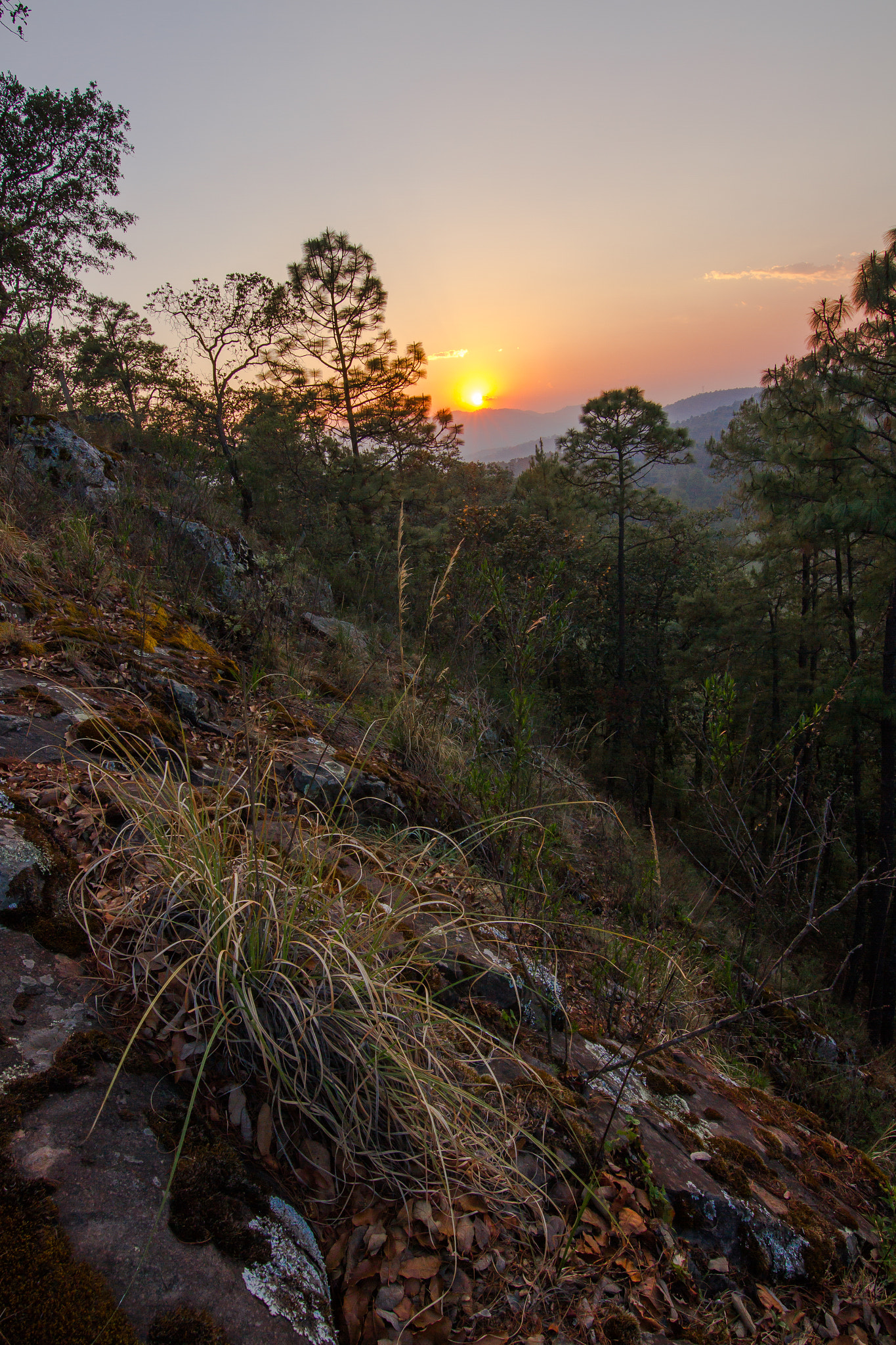 Canon EOS 7D + Tokina AT-X 11-20 F2.8 PRO DX Aspherical 11-20mm f/2.8 sample photo. Tapalpa sunset photography