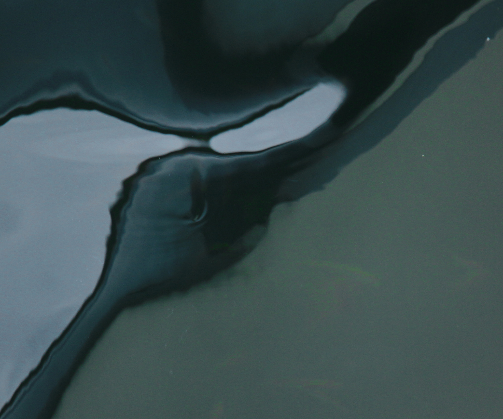 Canon EF 70-200mm F4L IS USM sample photo. Inkblots photography