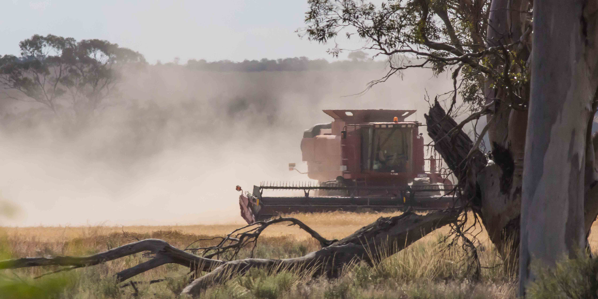 Canon EOS 700D (EOS Rebel T5i / EOS Kiss X7i) + Canon EF 400mm F5.6L USM sample photo. Harvester at work photography