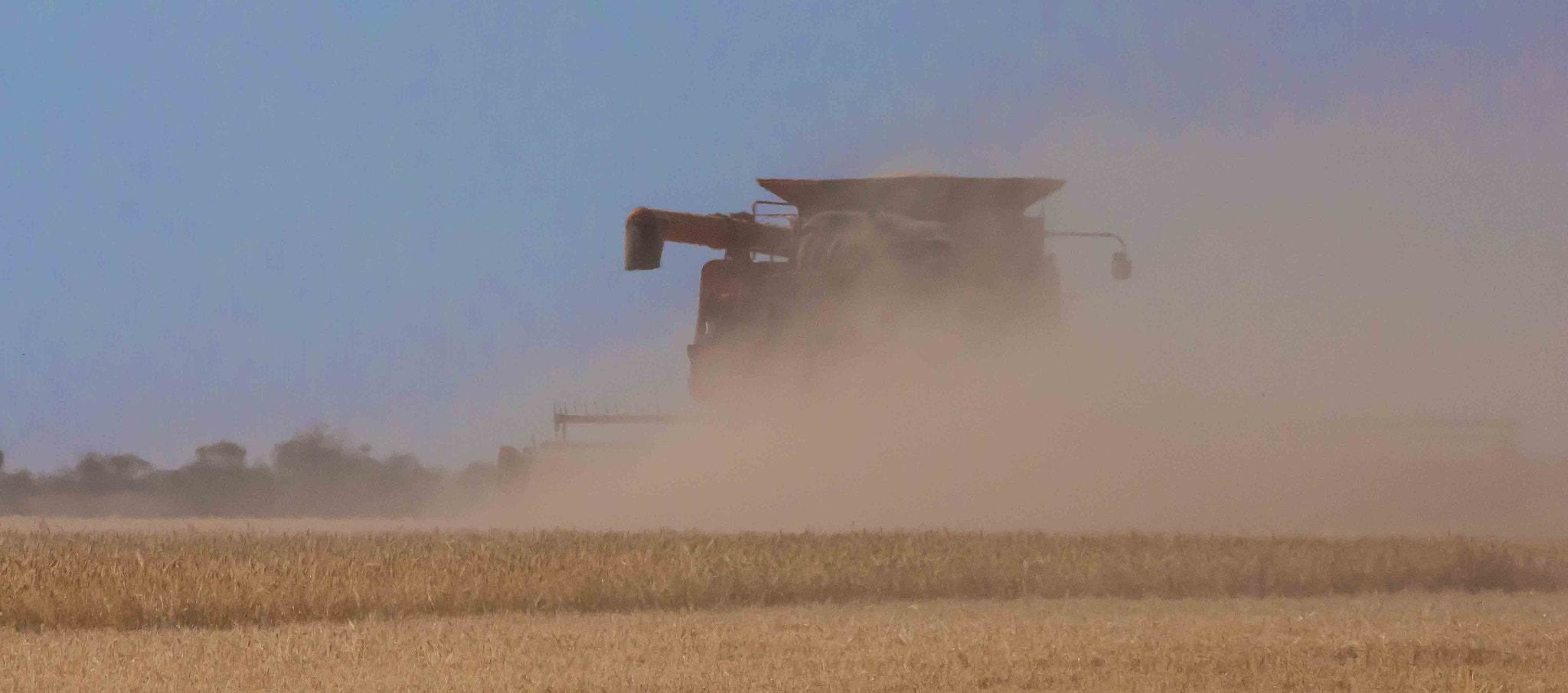 Canon EOS 700D (EOS Rebel T5i / EOS Kiss X7i) + Canon EF 400mm F5.6L USM sample photo. Harvesters were working as i came through the wheat belt photography