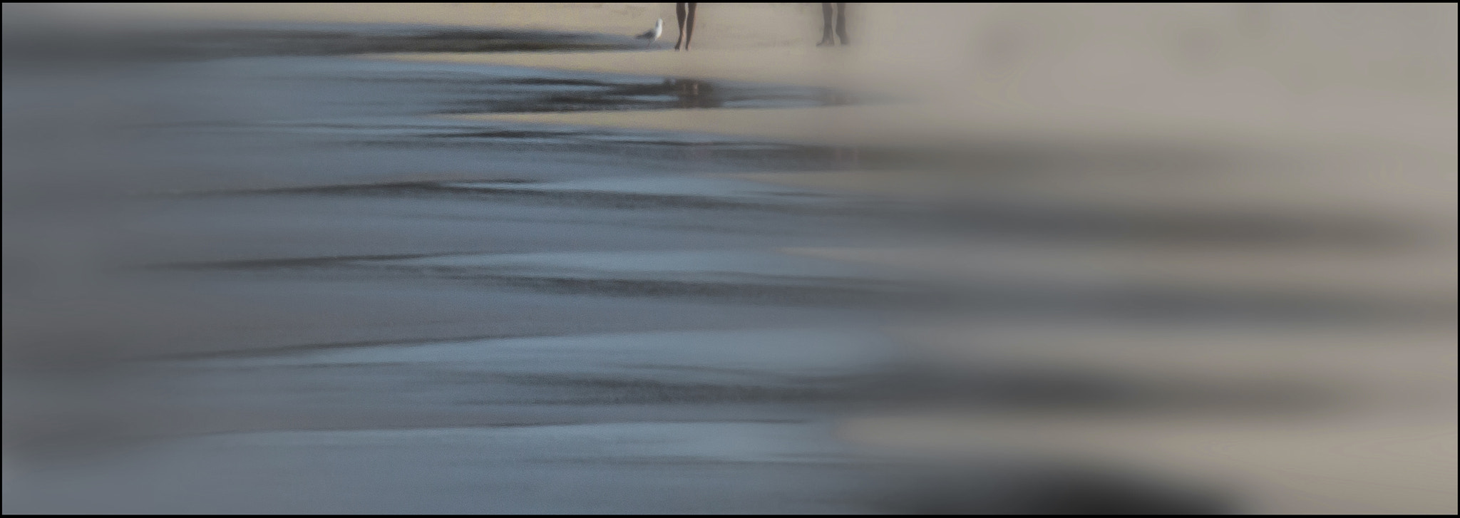 Canon EF 70-200mm F4L IS USM sample photo. Ocean walking photography