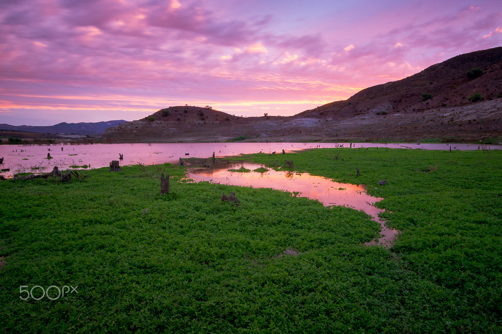 Sony SLT-A58 + 20mm F2.8 sample photo. My pink sunset at home photography