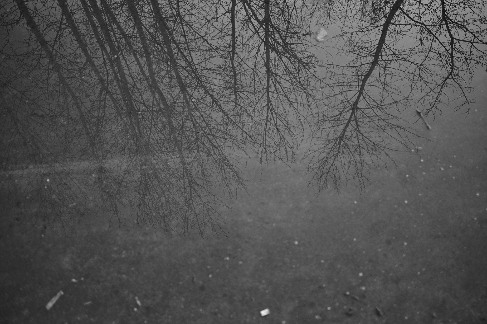 Fujifilm X-E2 + Fujifilm XF 16mm F1.4 R WR sample photo. Puddle photography