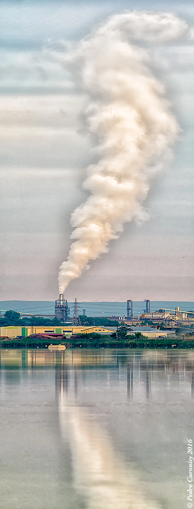 Olympus OM-D E-M1 + M.300mm F4.0 + MC-14 sample photo. Humo photography