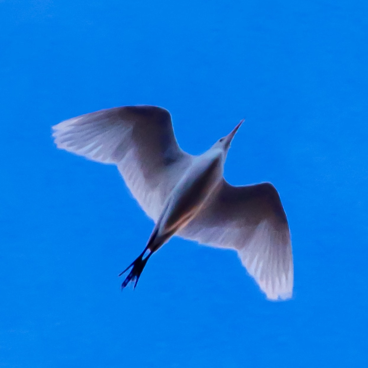 Canon 18-250mm sample photo