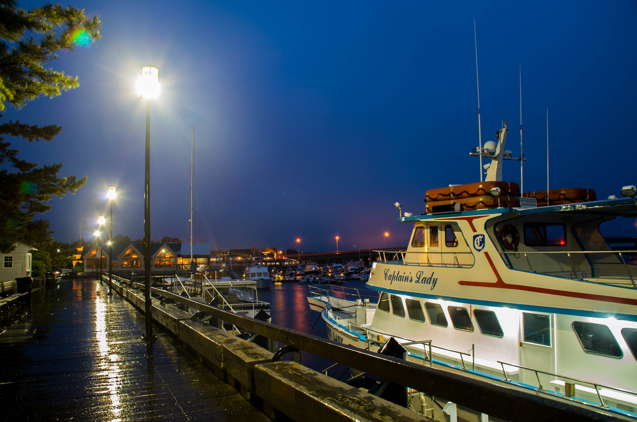 Tamron AF 18-200mm F3.5-6.3 XR Di II LD Aspherical (IF) Macro sample photo. By the boardwalk photography
