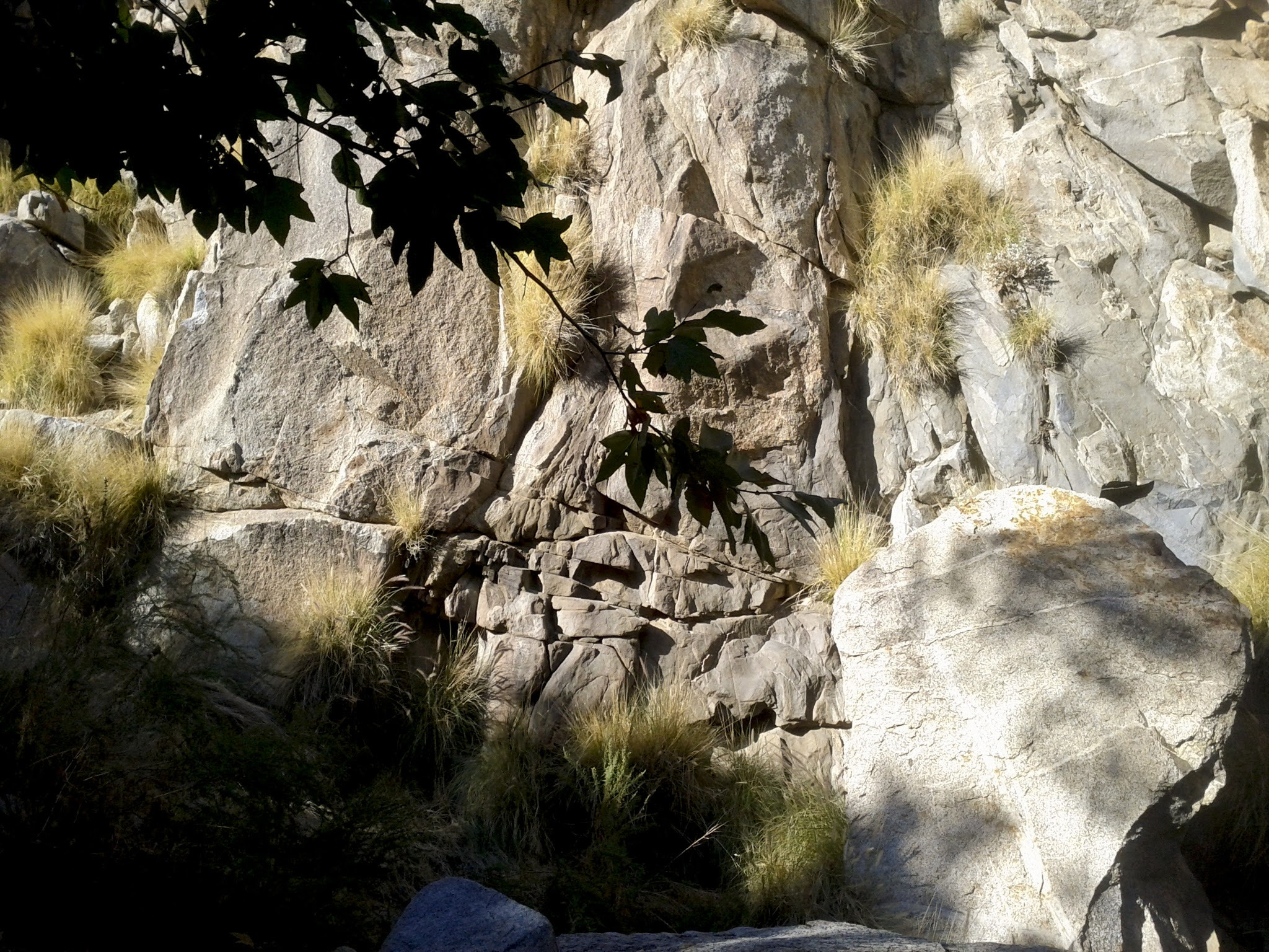 Google Nexus S sample photo. Tsu ns photography