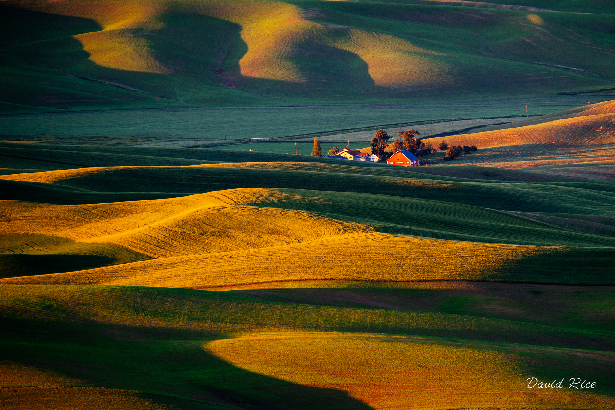 Nikon D5 sample photo. Palouse steptoe butte morning light photography