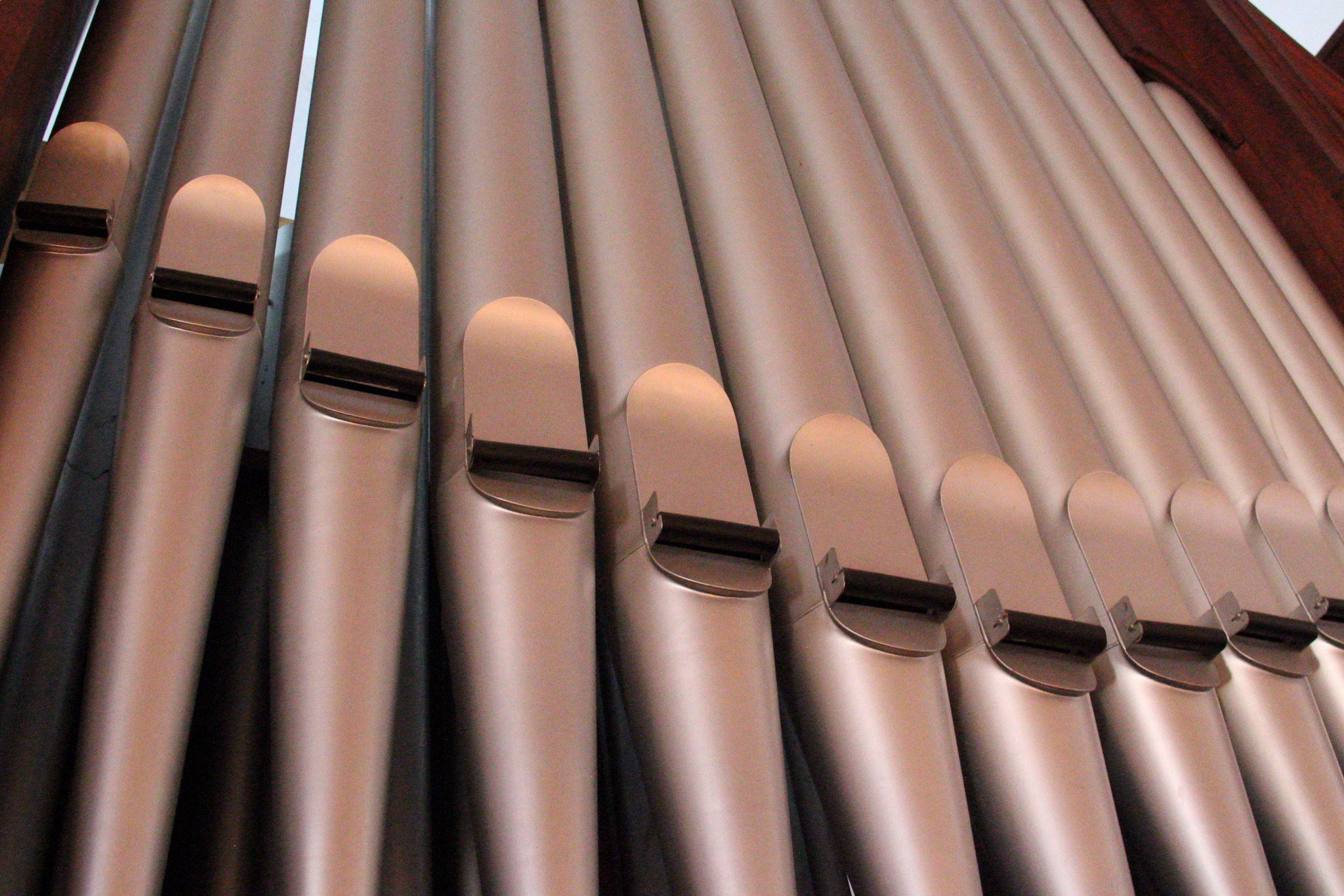 Canon EOS 1100D (EOS Rebel T3 / EOS Kiss X50) + Canon EF-S 18-200mm F3.5-5.6 IS sample photo. The pipe organ, a massive instrument that can make you feel uncountable emotions just with one note. photography