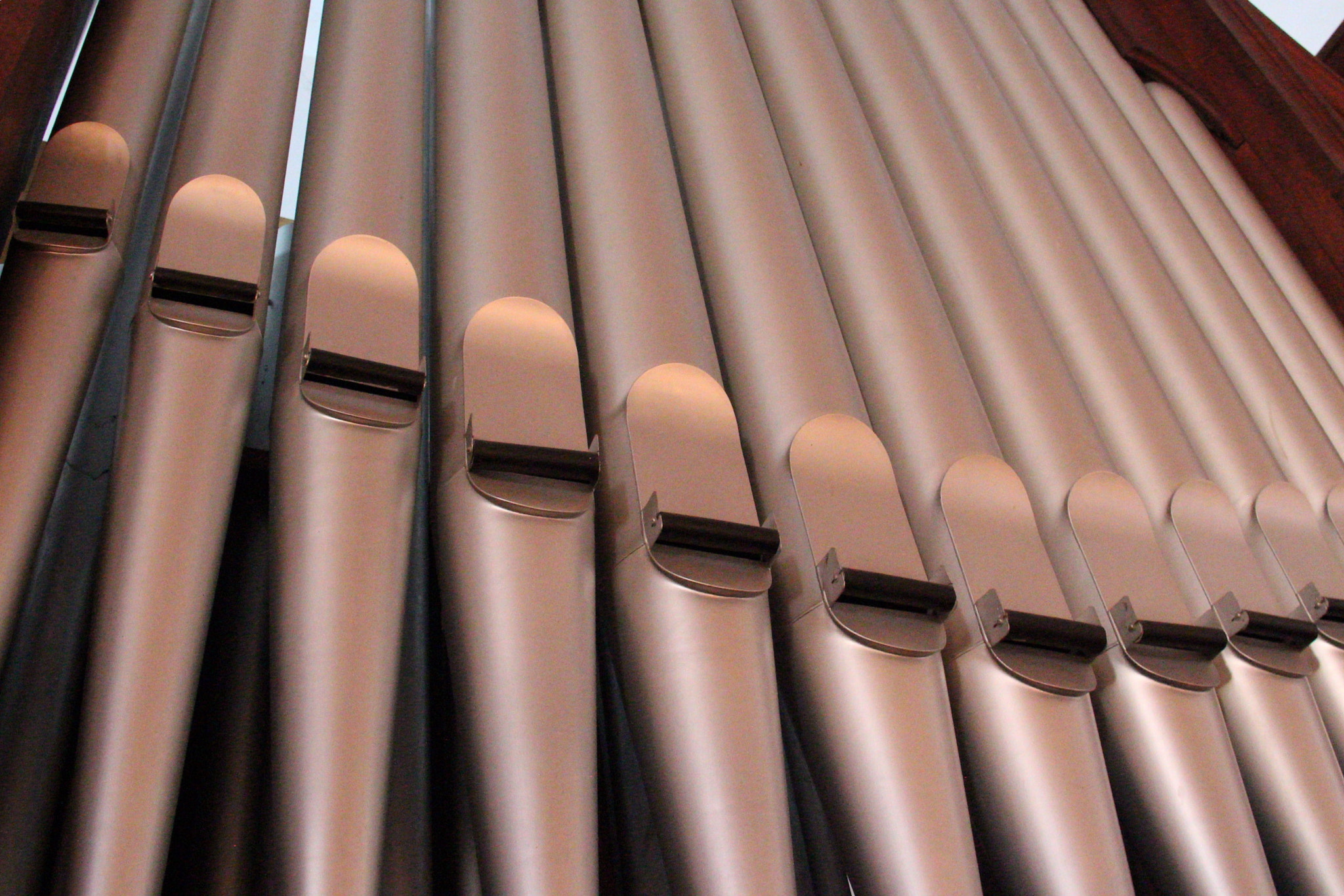 Canon EF-S 18-200mm F3.5-5.6 IS sample photo. The pipe organ, a massive instrument that can make you feel uncountable emotions just with one note. photography