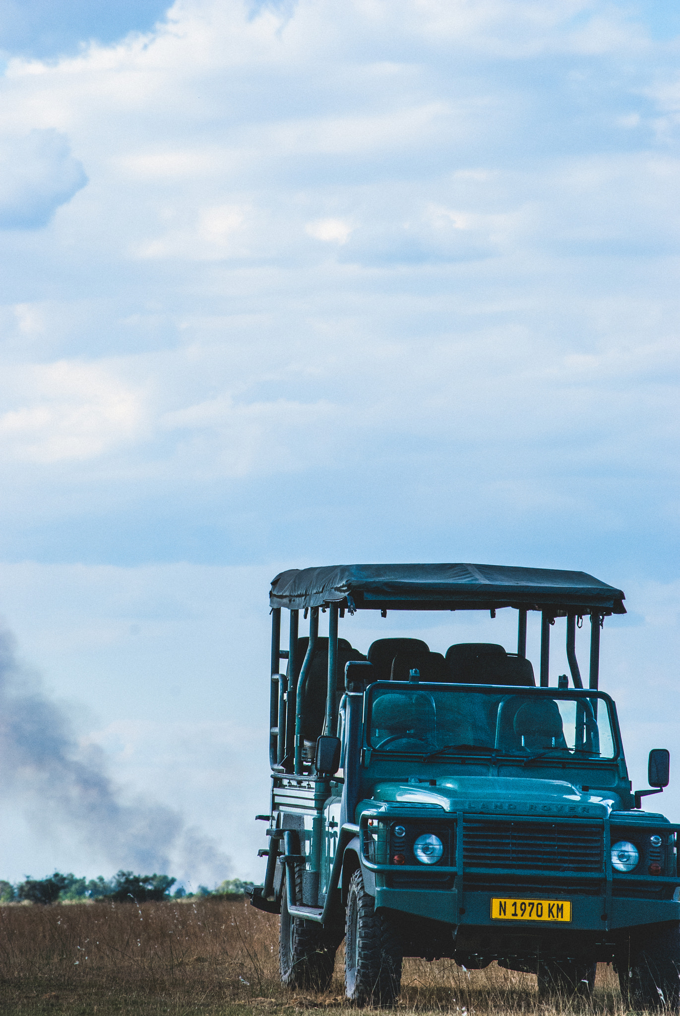 Nikon D60 sample photo. African wildfire photography
