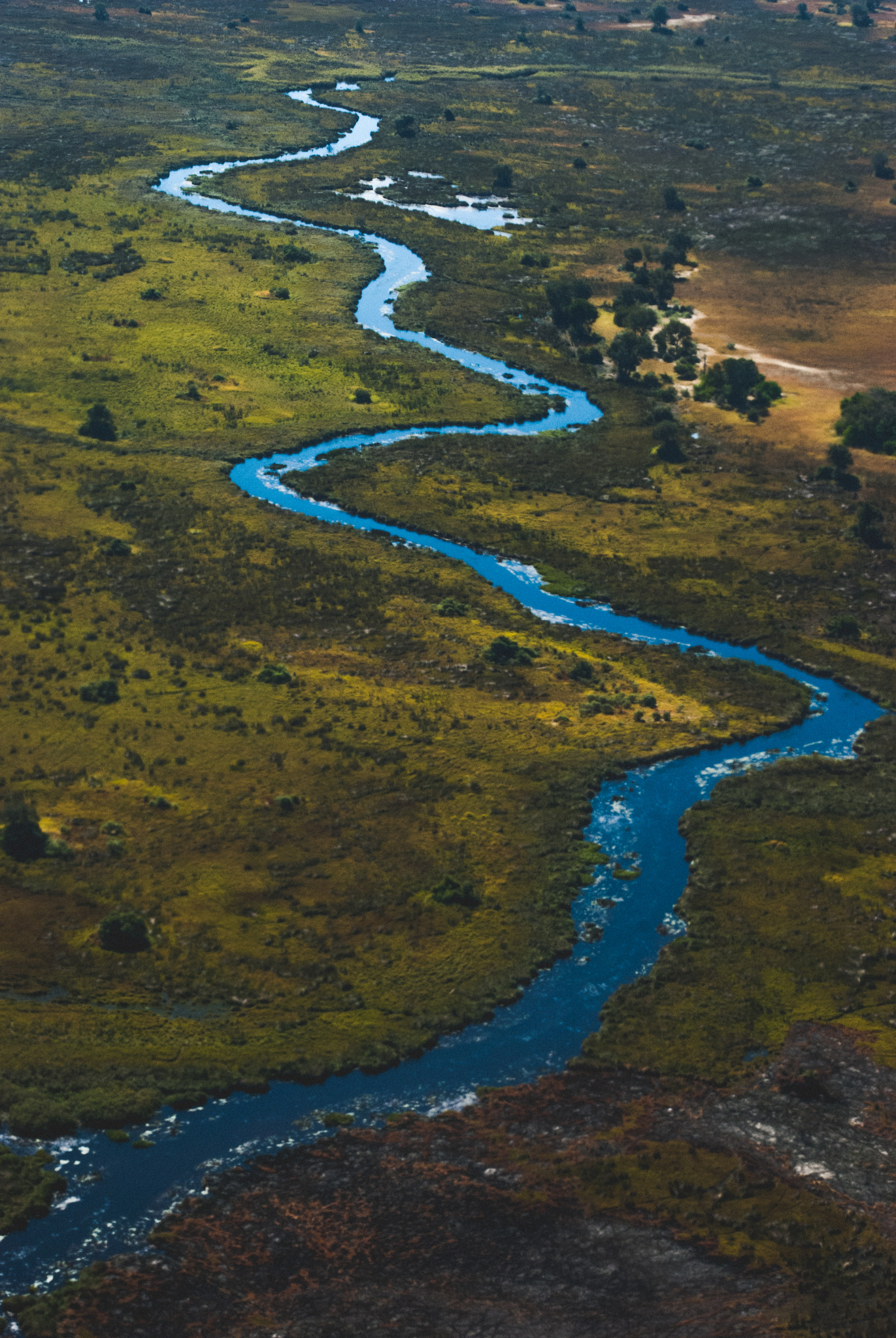 Nikon D60 sample photo. Winding water photography