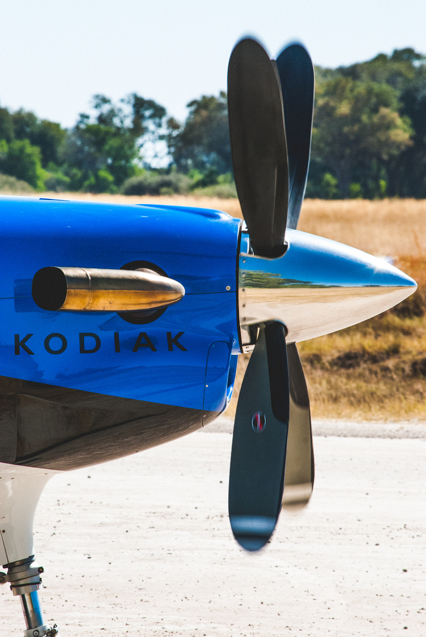 Nikon D60 sample photo. Kodiak plane photography