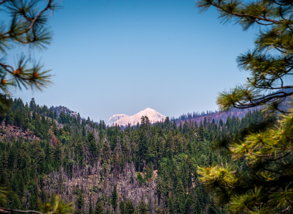 Canon EOS-1Ds Mark II sample photo. Mount shasta photography