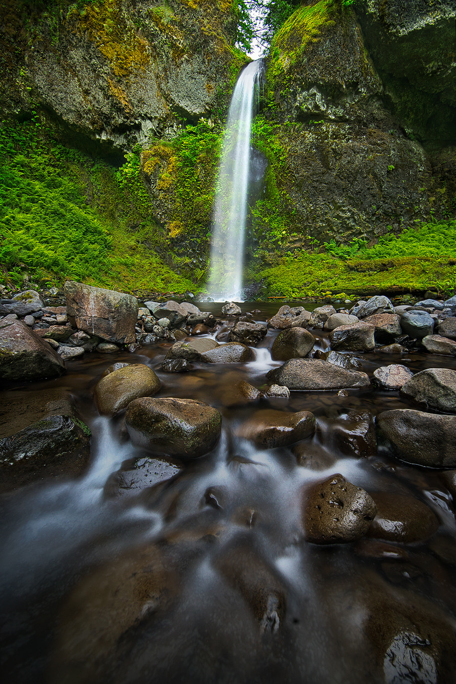 Sony a7R II + Canon EF 14mm F2.8L II USM sample photo. Up a creek - at wahe photography
