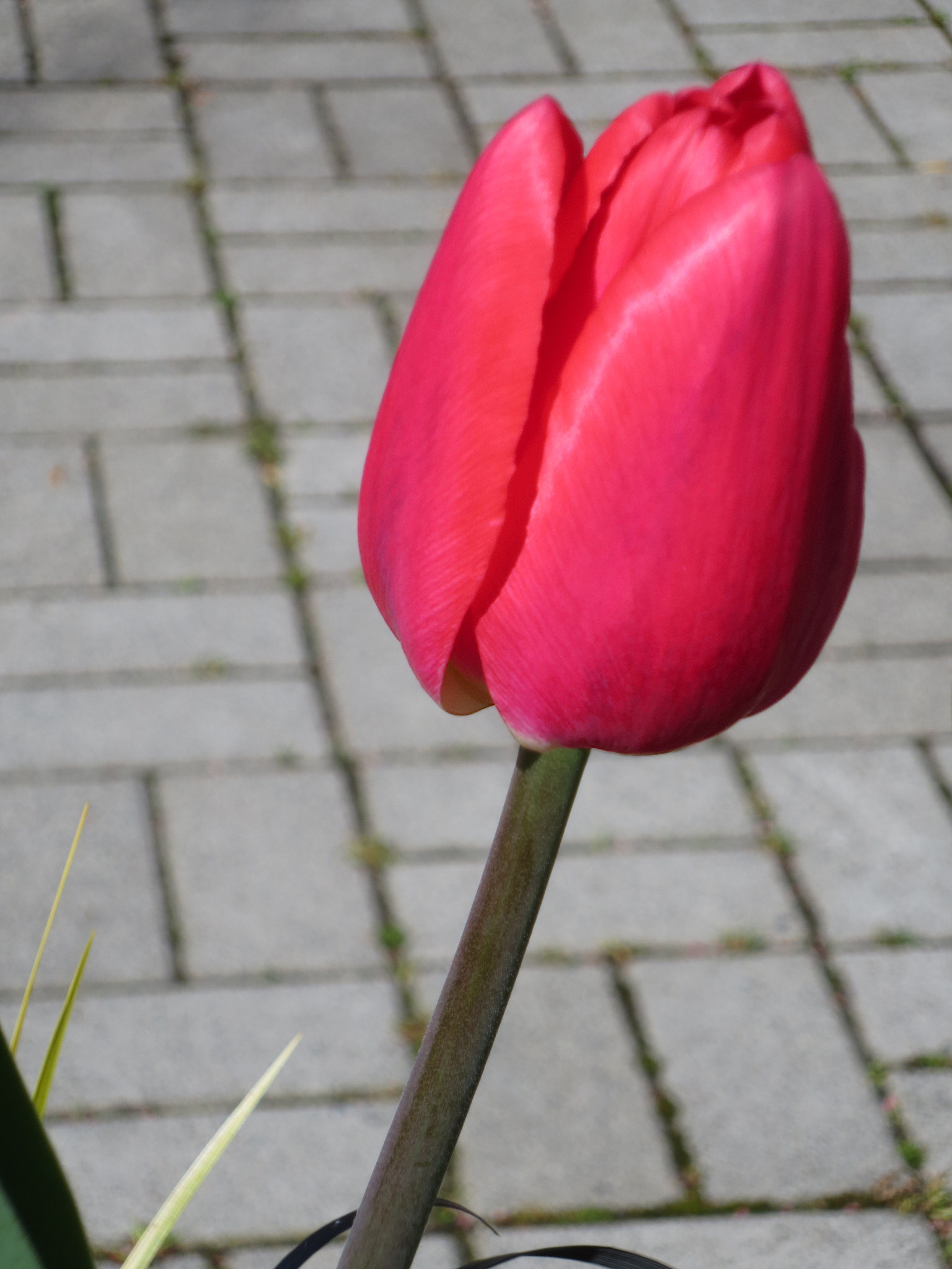 Canon POWERSHOT ELPH 320 HS sample photo