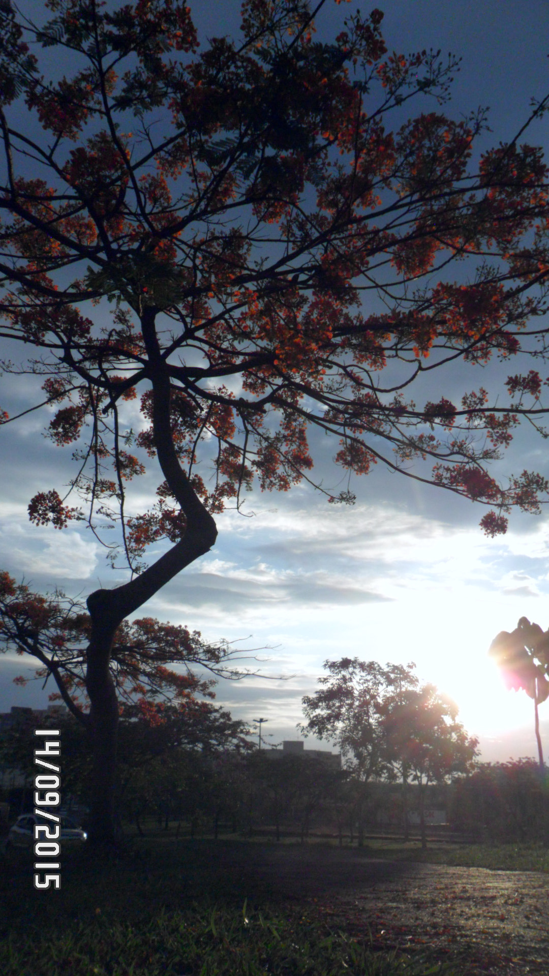 Samsung PL20,PL21 / VLUU PL20,PL21 sample photo. Primavera 45 photography
